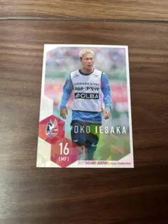 ファジアーノ岡山 No.16 家坂 葉光 トレーディングカード ホロ（キラ）
