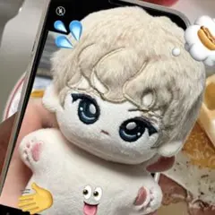 enhypen 10センチ ぬいぐるみ ジョンウォン ドール 10cm マスター
