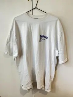 stüssy ストロベリーグラフィック Tシャツ XL