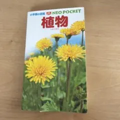 植物