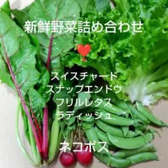 【兵庫県産】採れたて★新鮮野菜詰め合わせ　スイスチャード赤とスナップエンドウ他