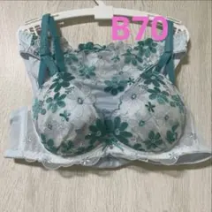 B70/M チュチュアンナ　tokimeki bra 谷間　水色　ブラショーツのサムネイル