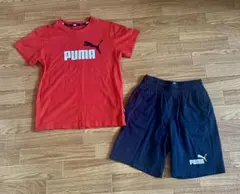 【極美品】PUMAプーマ キッズ セットアップ 130半袖Tシャツ ハーフパンツのサムネイル