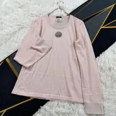 未使用級 シャネル ココマーク カシミヤ クルーネック ボーダー 半袖ニット38 未使用級 シャネル ココマーク カシミヤ クルーネック ボーダー 半袖