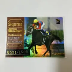 希少　競馬トレカシリアルナンバー入り　511番　バンダイ　2000年