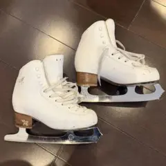 Item thumbnail for item d73e9454-1f90-4ea0-bbae-87c38b8140bf