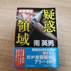 疑惑領域 南英男