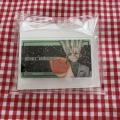 Dr.STONE ドクスト 石神千空 ドクスト展 名札バッジ ネームバッジ