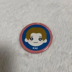 超特急 カイ ぬいぐるみ缶バッジ 缶バッチ 生誕 小笠原海 ちびカイくん