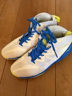 Item thumbnail for item c55ce9fc-8931-4332-aada-c00e9a11c04c