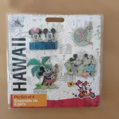 Disney HAWAII ピンバッジ 4個セットのサムネイル