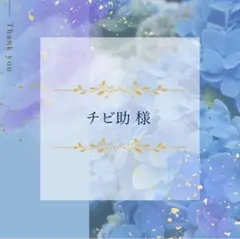 チビ助様 リクエスト 2点 まとめ商品