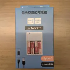 電池交換式充電器 USB-Aポート付き