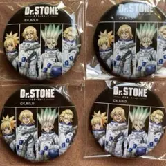 dr.stone スタンリー tenq 宇宙服 缶バッジ 9個 ドクターストーン TeNQ 缶バッジ 宇宙服 スタンリー コハク 集合