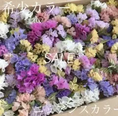 【ニュアンスカラー＊希少カラー入】スターチス＊ドライフラワー＊ヘッド＊花材＊花弁