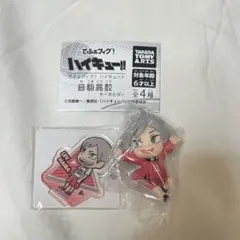 ハイキュー リエーフ でふぉフィグ ミニアクスタ 音駒高校