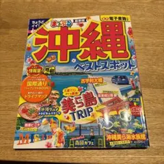 Item thumbnail for item 0b9f308e-abed-49c6-baea-ca8cef527d89