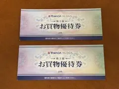 ヤマダ電機 お買物優待券 1万円分（500円×20枚）
