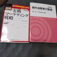 図解 実戦マーケティング戦略 現代消費者行動論 2冊セット ブランド　実務
