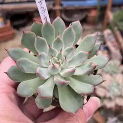 yoshiyume様 リクエスト 3点 まとめ商品