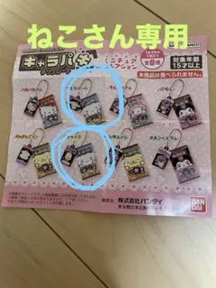 サンリオキャラクターズ　キャラパキチョコレート