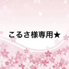 こるさ様専用★