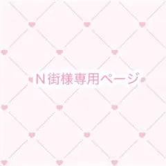 N街様専用ページ