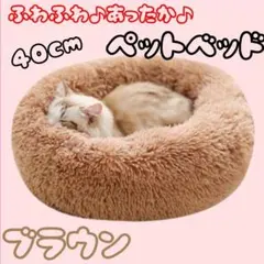 Item thumbnail for item 071e1704-2803-4b4f-bfa2-3153251917d6