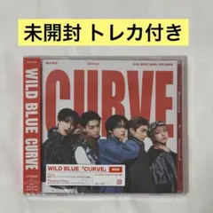 【新品未開封】WILD BLUE CURVE 通常盤