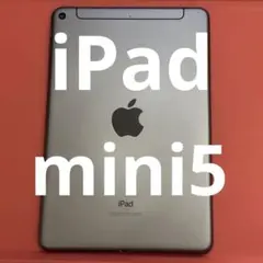 iPadmini 第5世代 256GBWi-Fi+Cellularスペースグレー - メルカリ