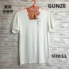 M02 GUNZE グンゼ 吸湿発熱 VネックTシャツ オフホワイト LL