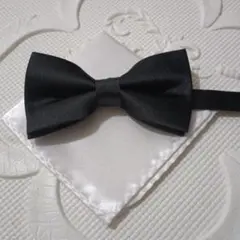 2点セット☆ブラック×ホワイト蝶ネクタイチーフセット　④