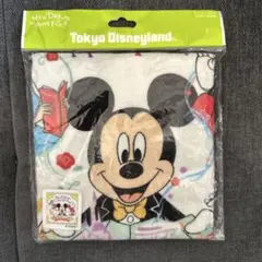 Tokyo Disneyland ミッキー タオル