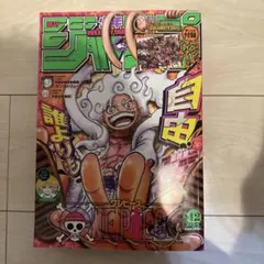 希少】週刊少年ジャンプ2010年11号※ ONE PIECEエース死亡回 掲載