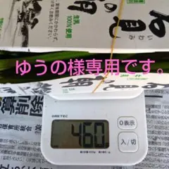 ゆうの様専用わらび約460g
