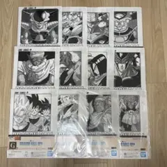 一番くじ DRAGON BALL 40th ～其之二～ G賞 12種セット