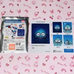 証明写真風スマロイド NG集 ハンギョドン