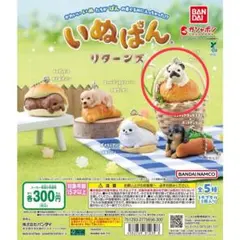 いぬぱんリターンズ　パグ✖️カレーパン