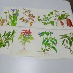 Item thumbnail for item 979e9ae4-dd44-4b1c-ba77-5d72951f8f7b