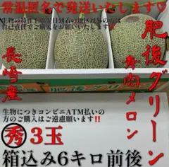 甘〜い❤️肥後グリーンメロン❤️青肉❤️○秀品❤️3玉❤️箱込6キロ前後〜のサムネイル
