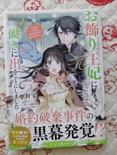 お飾り王妃になったので、こっそり働きに出ることにしました　５