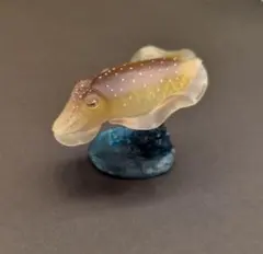 2026年最新】立体カプセル百科事典 原色タコ・イカ図鑑の人気アイテム