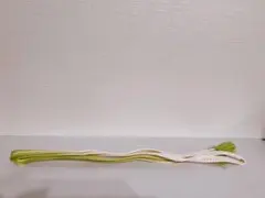 らいむね様 リクエスト 2点 まとめ商品