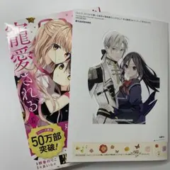 【おまけ特典付き】絶世の悪女は魔王子さまに寵愛される 6