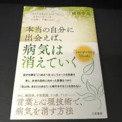 Item thumbnail for item 153fe418-9f10-458f-8ec7-0aaaeb69a7f8