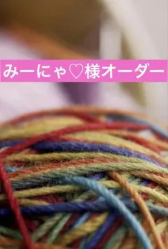 みーにゃ♡様専用