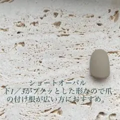 計測用チップショートオーバル