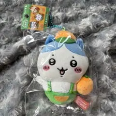 即日発送！ちいかわ 静岡限定 みかん ぬいぐるみキーホルダー ハチワレ