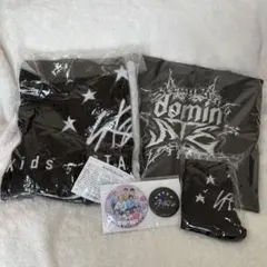straykids スキズ アプグレ 2023 グッズ 特典 抜けなし - メルカリ