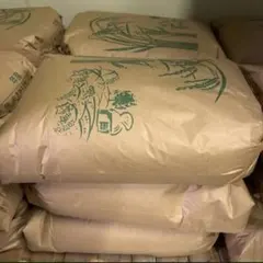 愛媛県産 きぬむすめ 令和7年 玄米 30kg - メルカリ